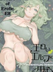 beware-of-erotic-elf.jpg