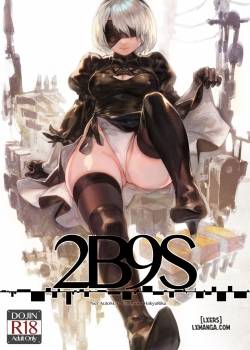 2b9s.jpg
