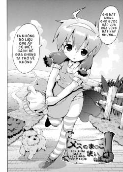 mesu-no-manko-tsukai-houdai.jpg